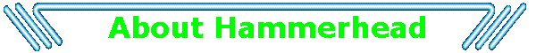 About Hammerhead